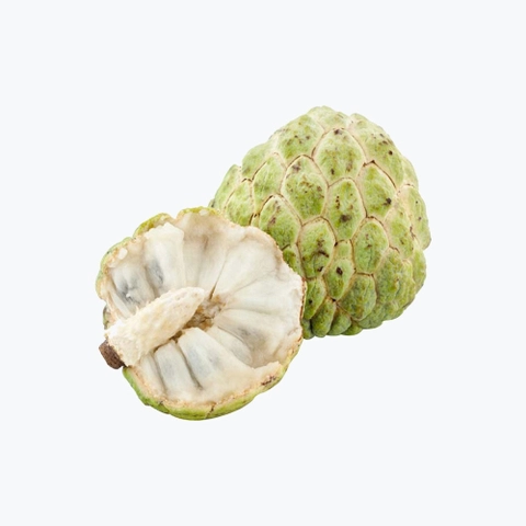 Quả na miền bắc